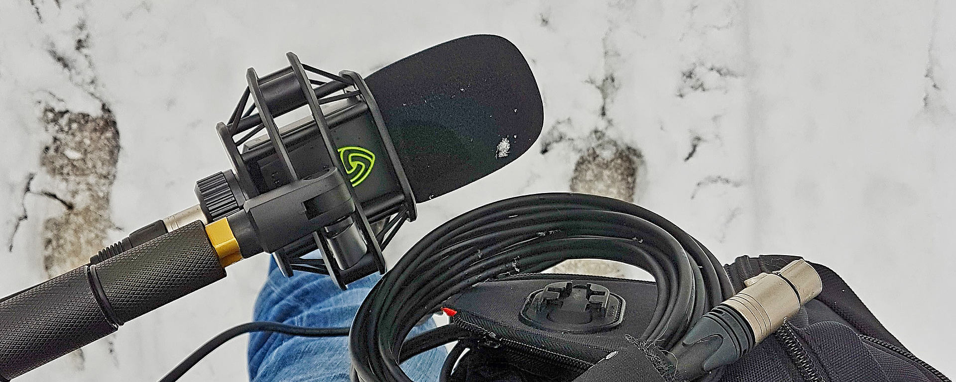 Best mic for field recording is the LEWITT LCT 540 S